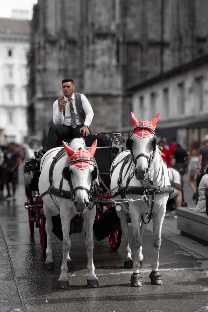 Creatividad fotográfica, carruaje de caballos en blanco y negro